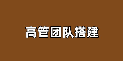 高管团队搭建